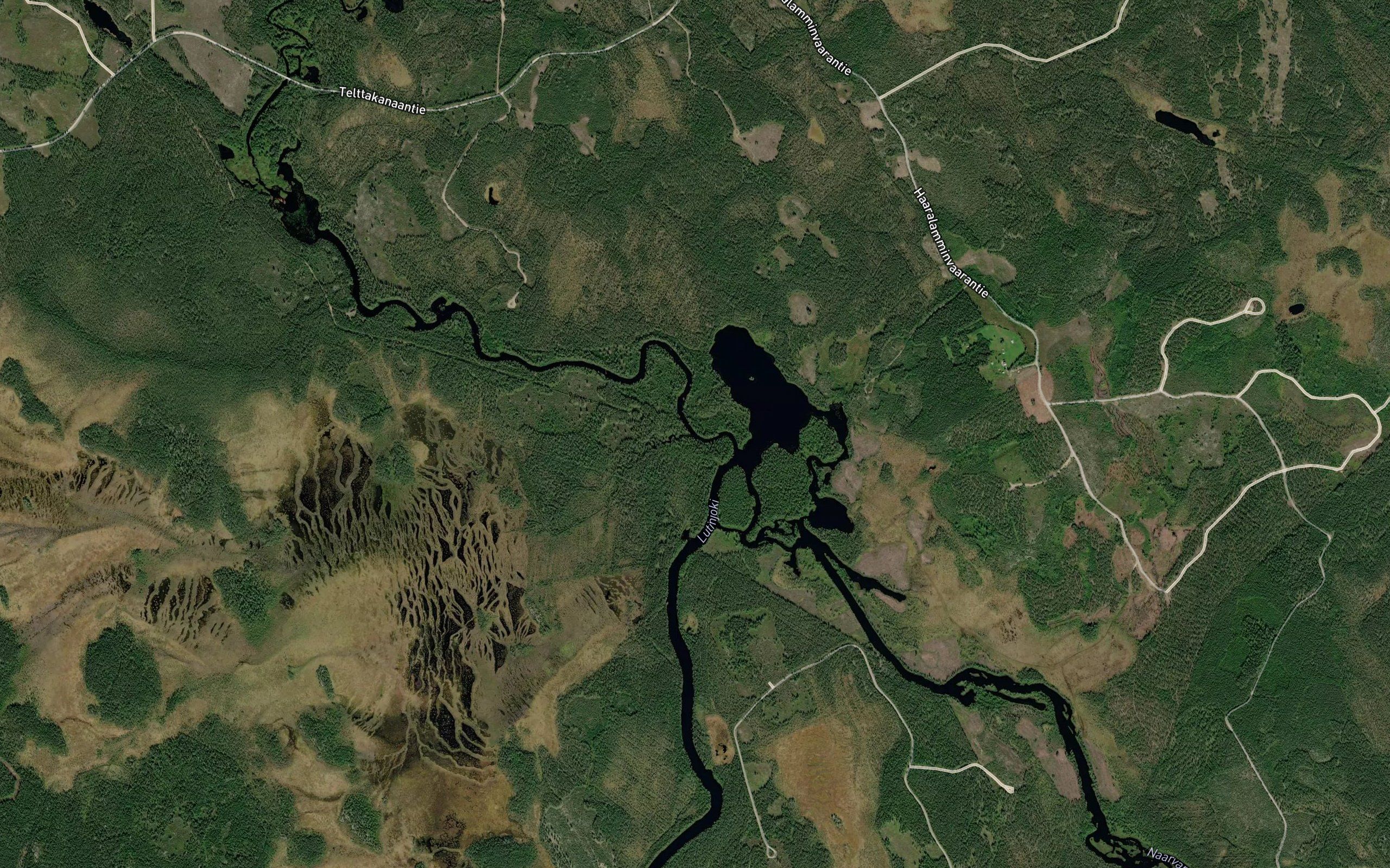 Tohlinpudas