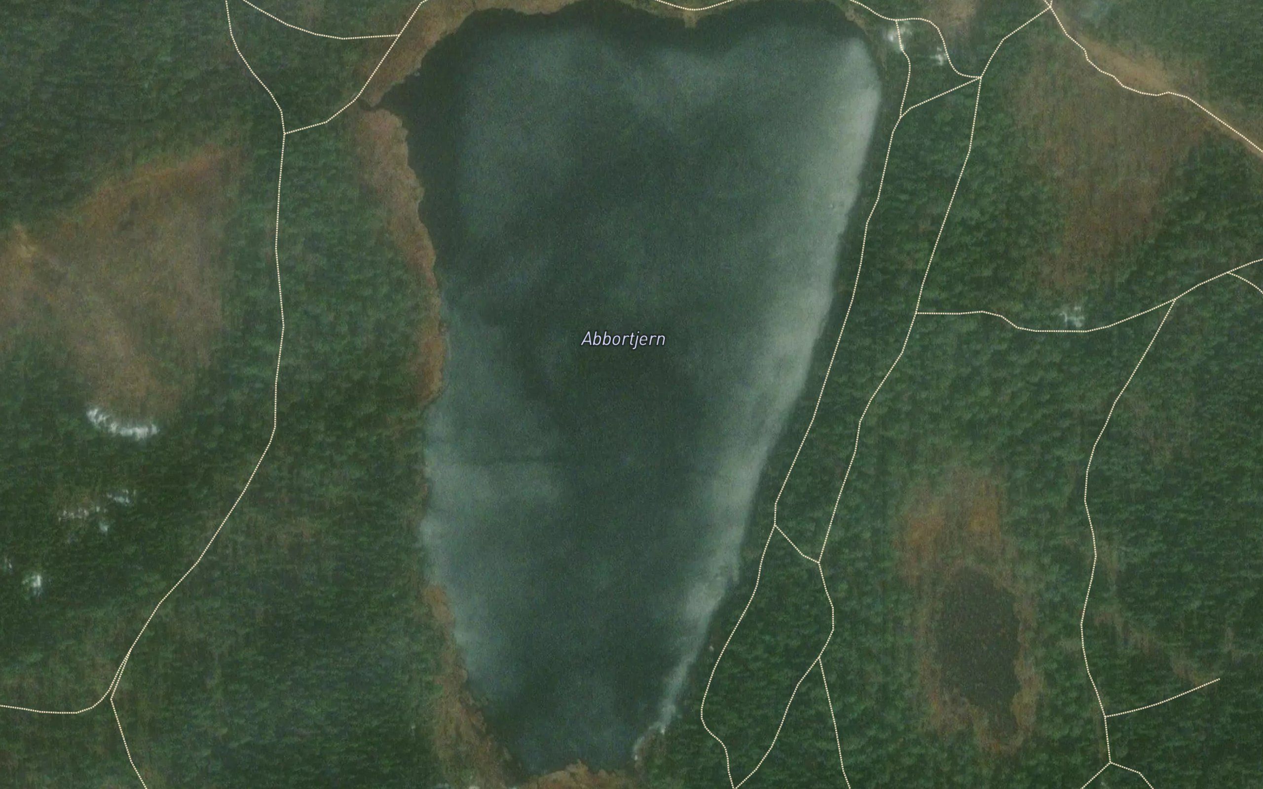 Abbortjernet