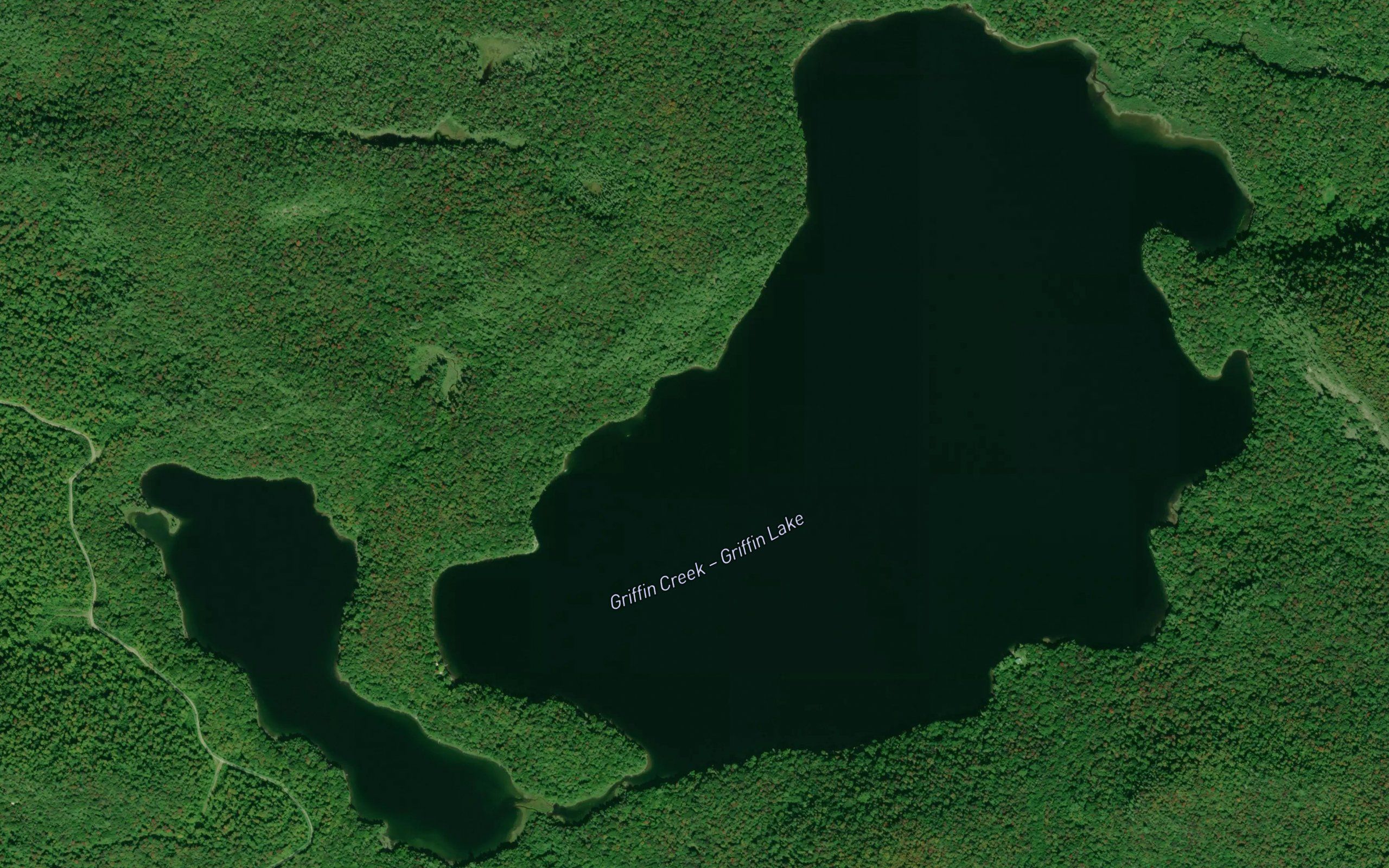 Griffin Lake