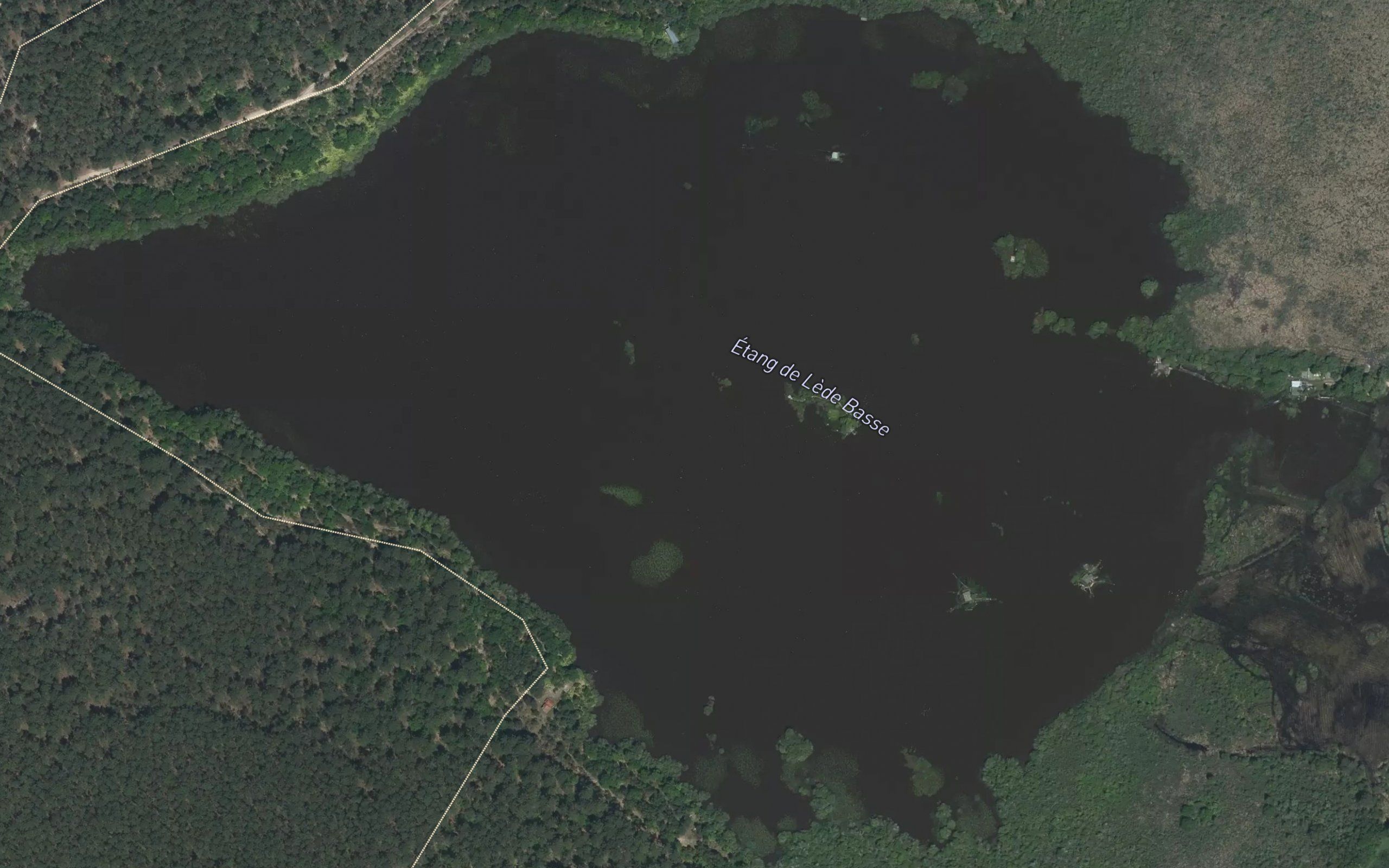 Etang de Lede Basse