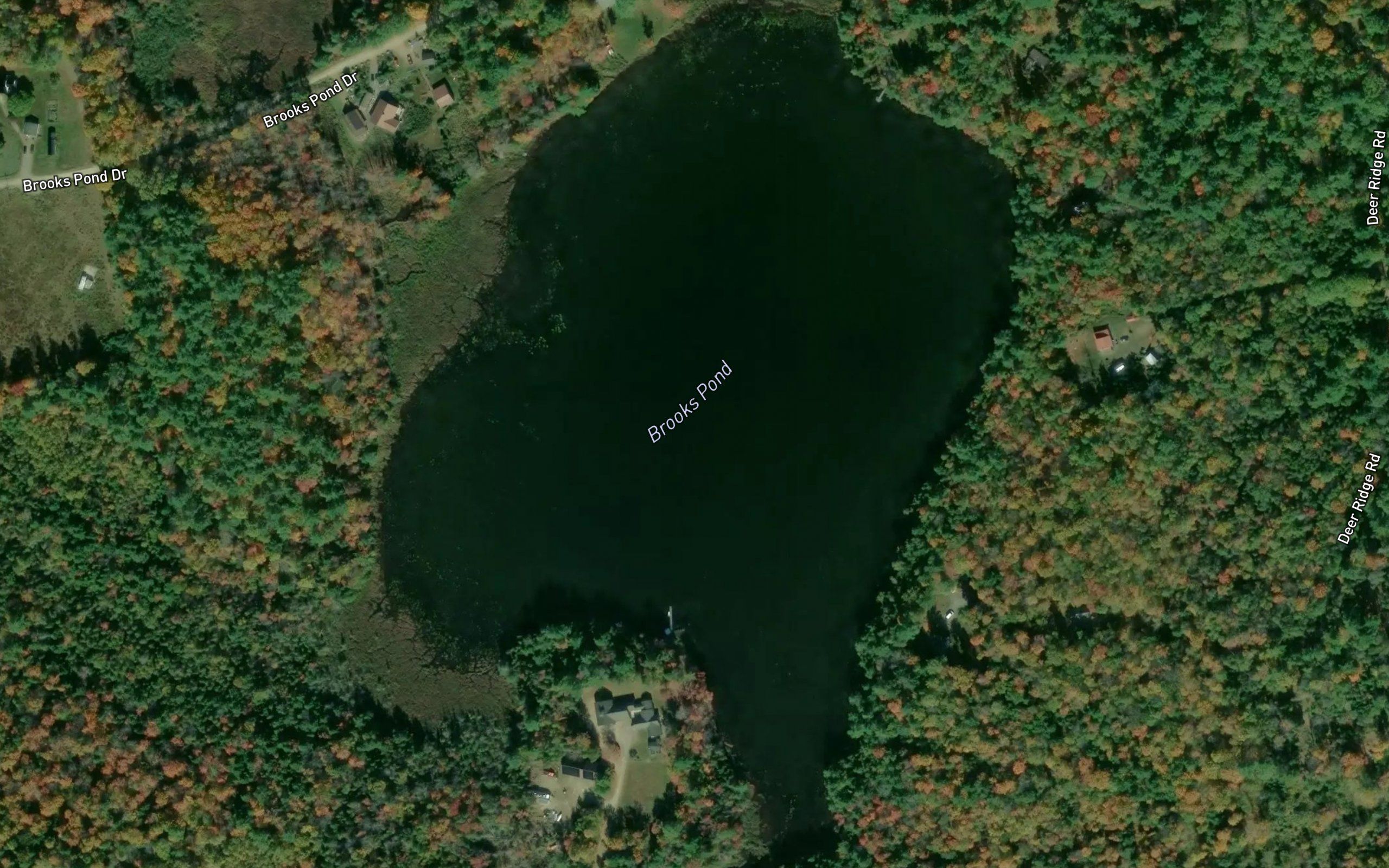 Brooks Pond