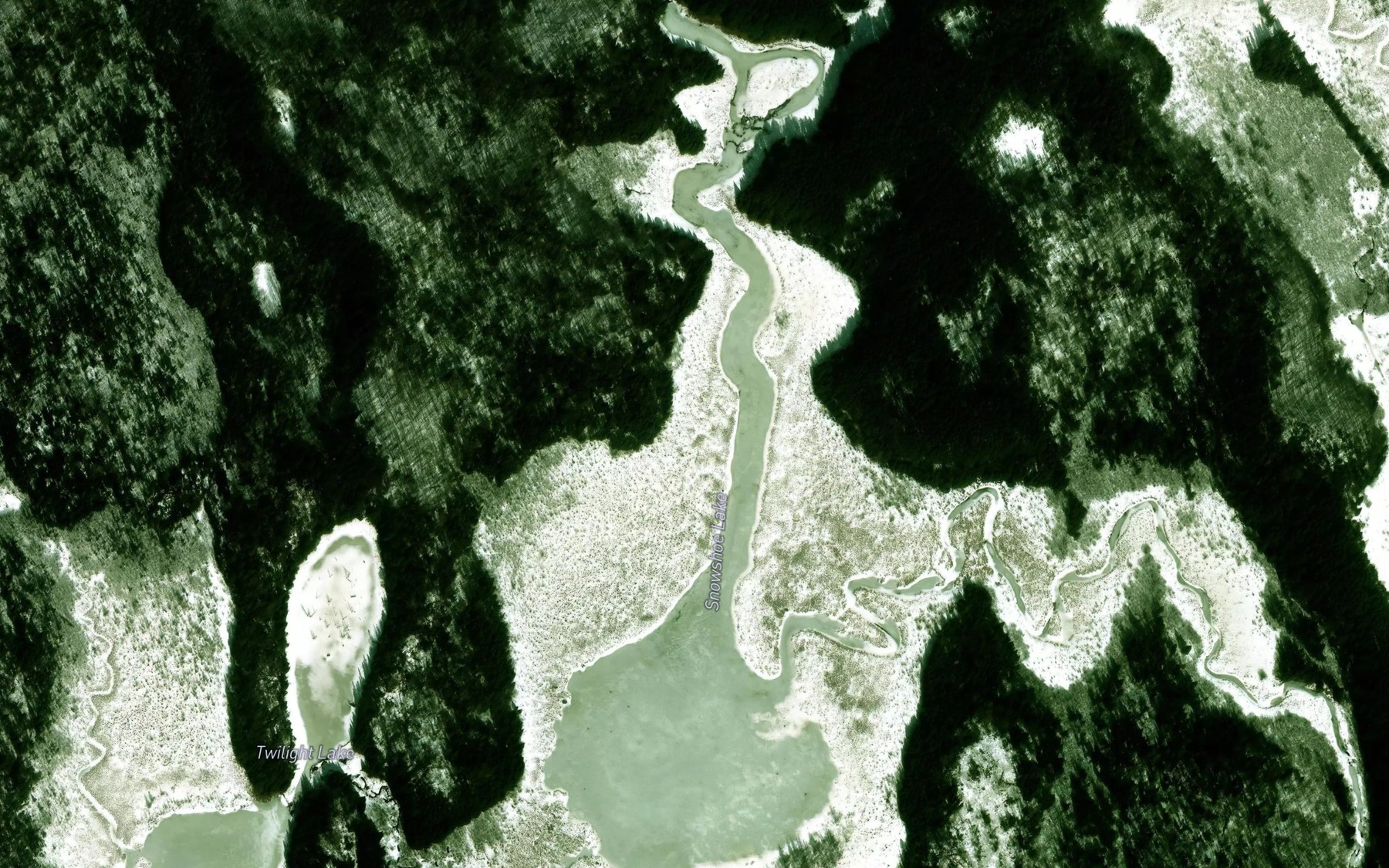 Satellite map of the Snowshoe Lake
