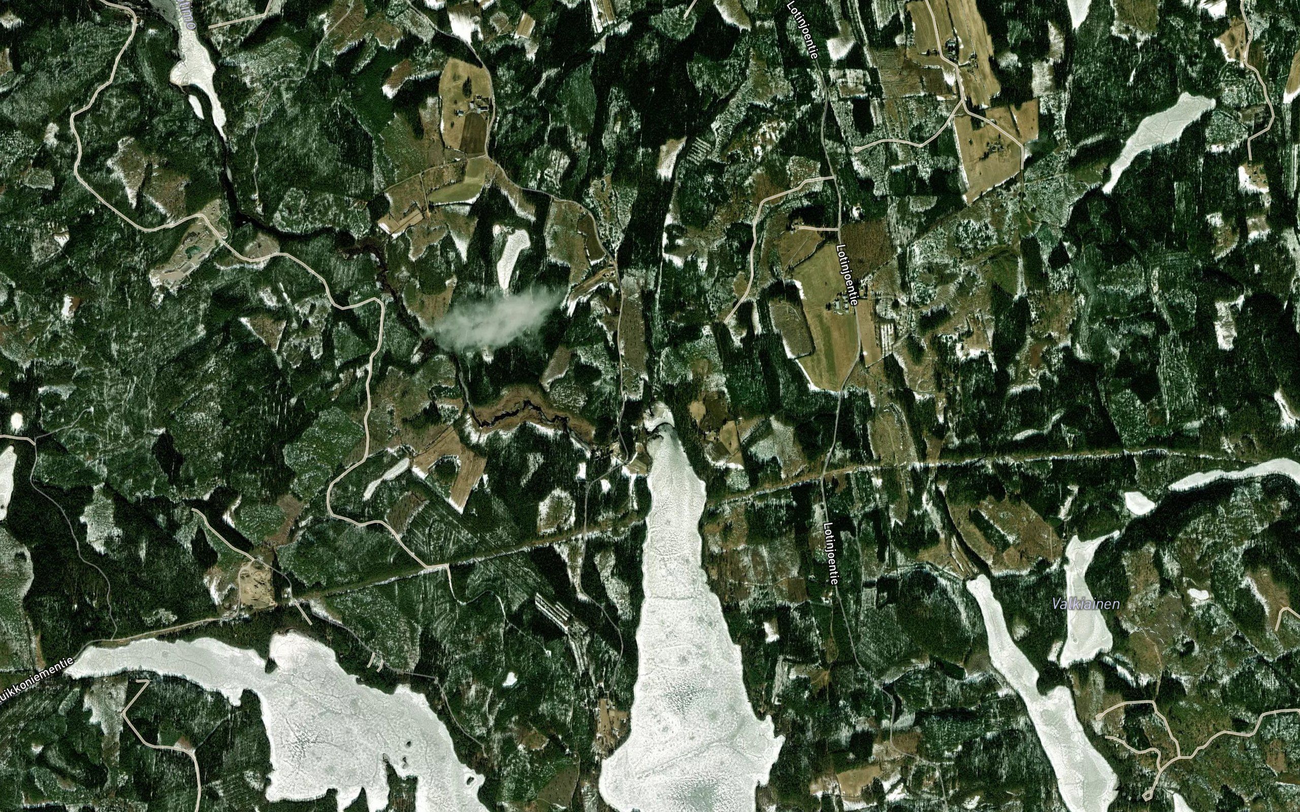 Pekalamminoja