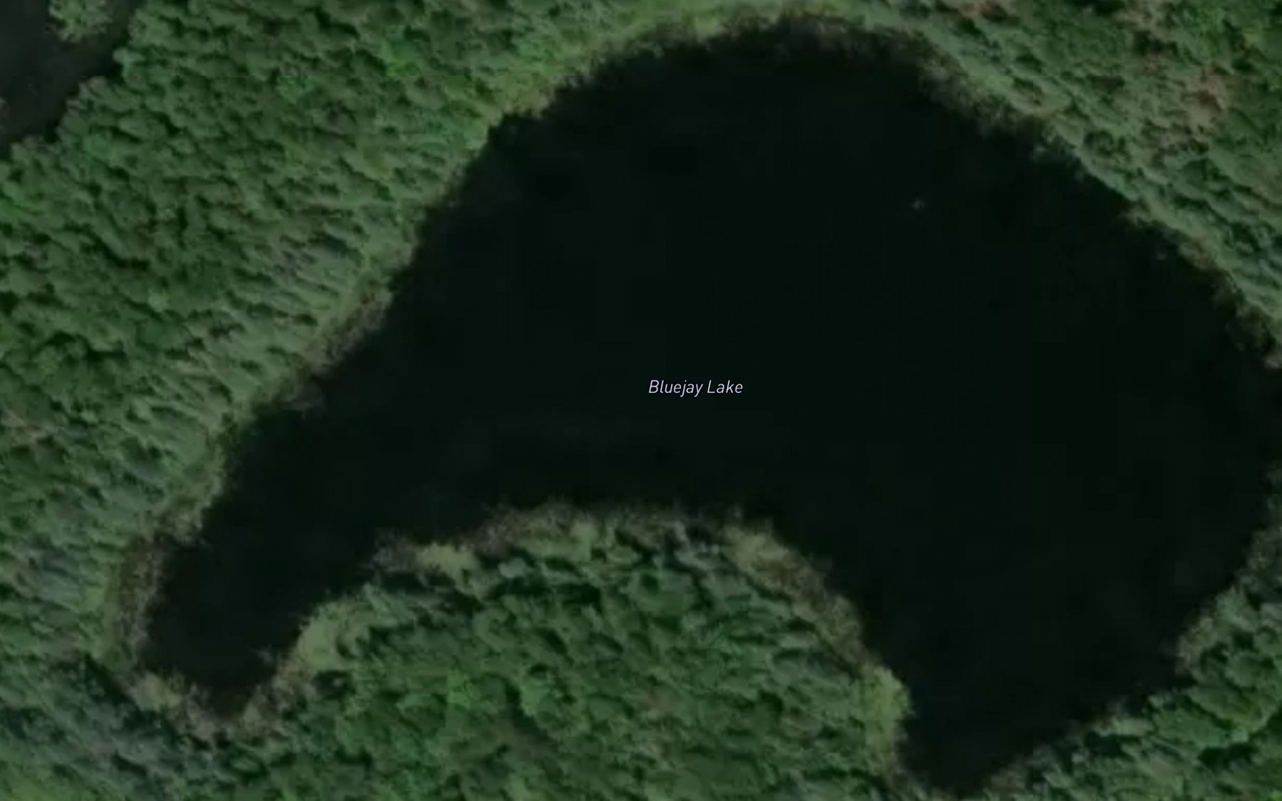 Satellite map of the Bluejay Lake