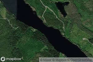 Niinijarvi