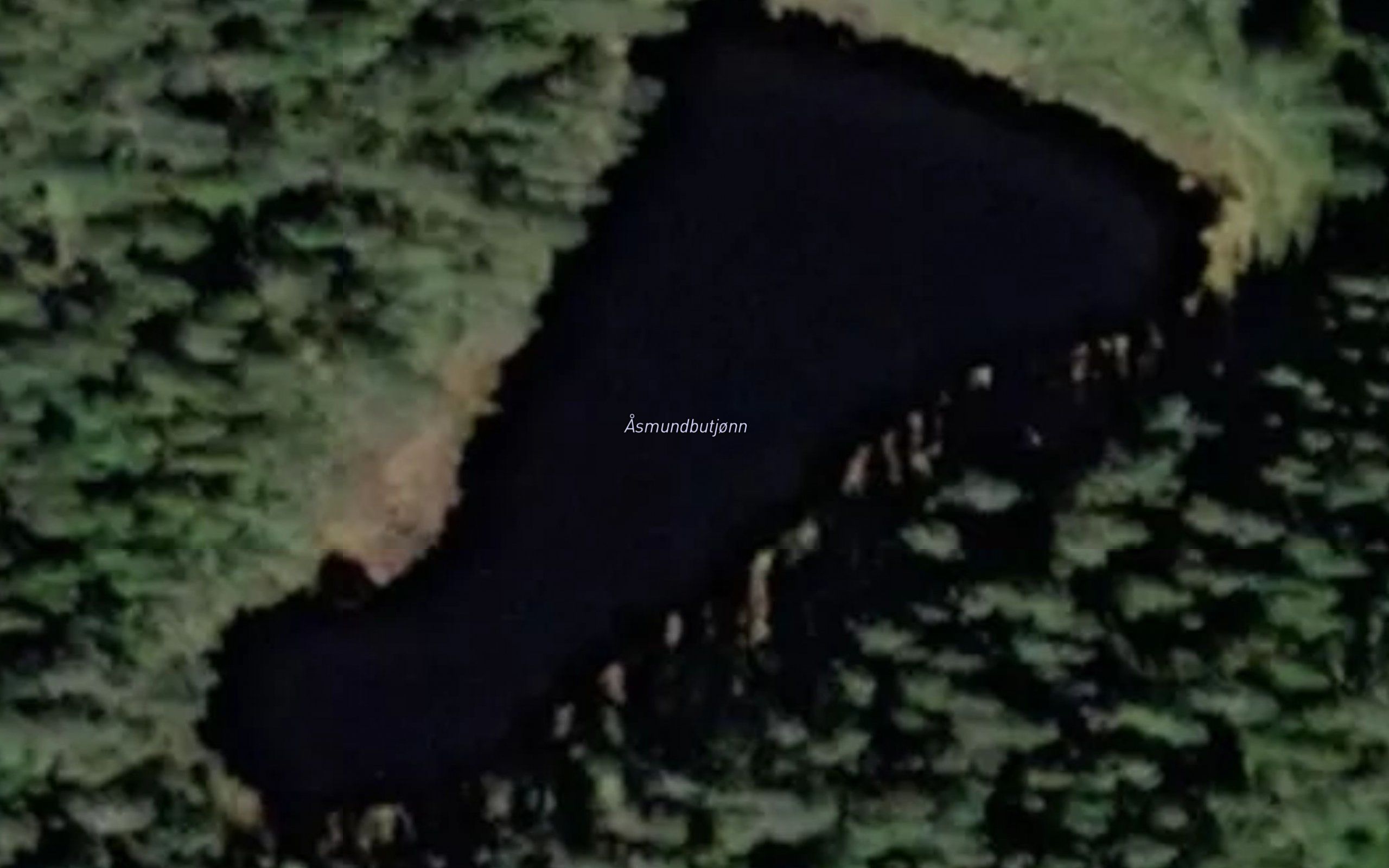 Asmundbutjonn
