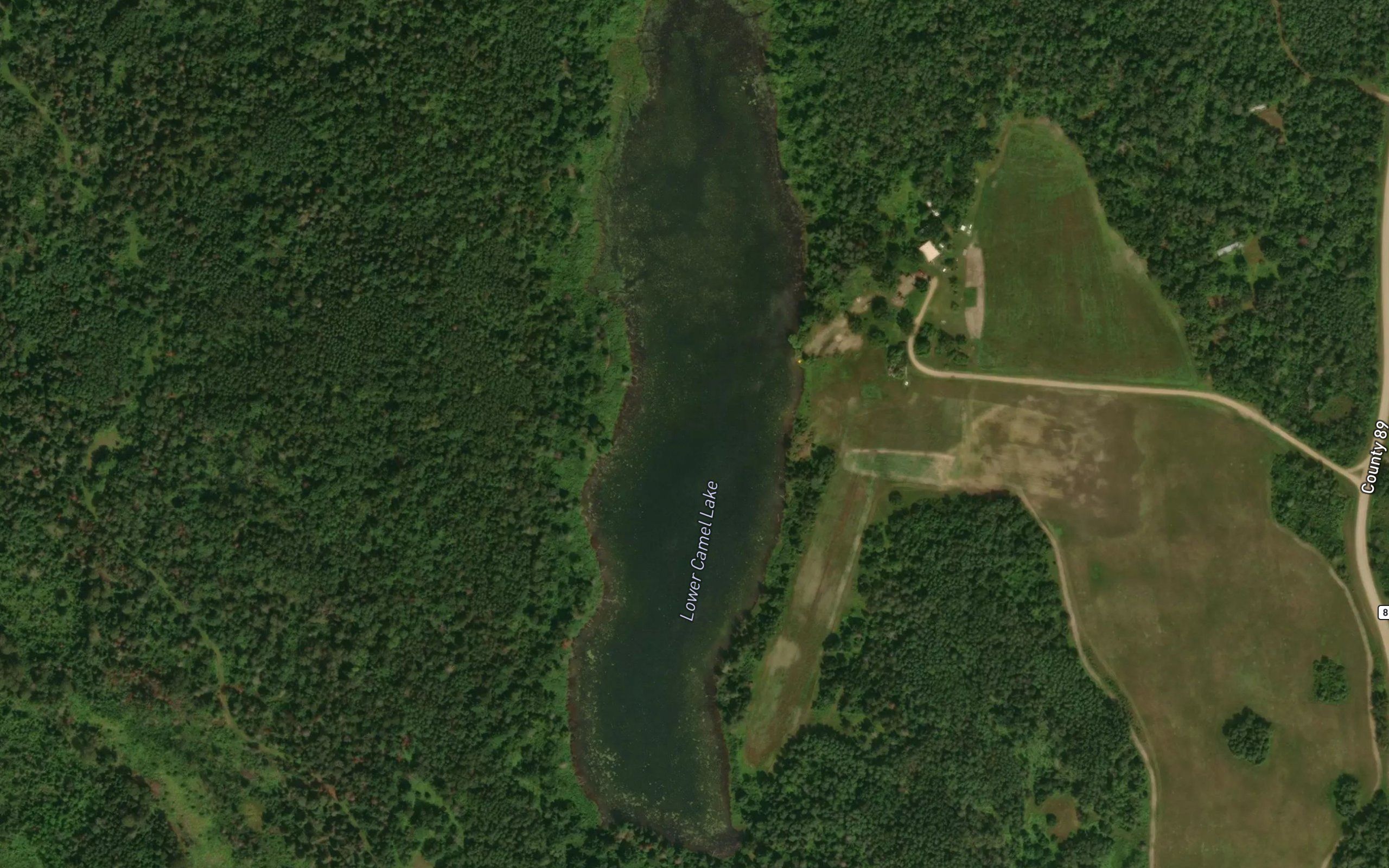 Lower Camel Lake