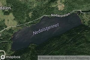 Nedalsvatnet