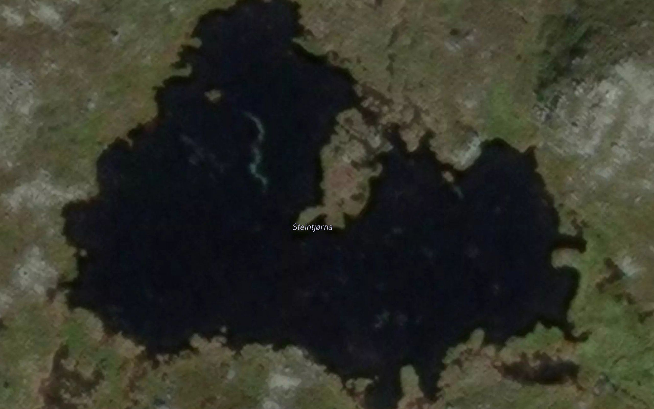 Steintjorna