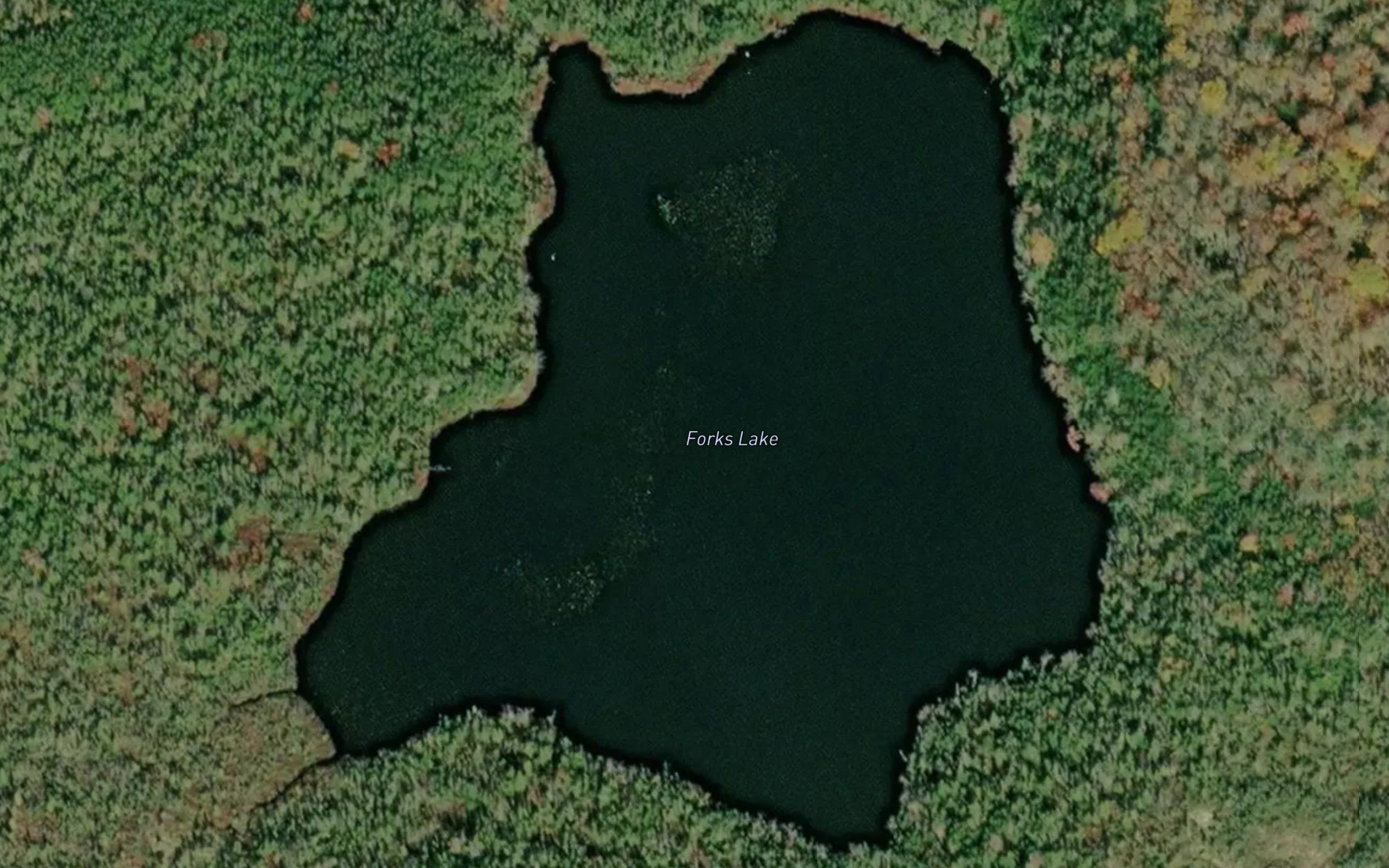 Forks Lake