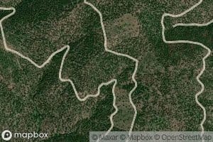 Stickler Spring