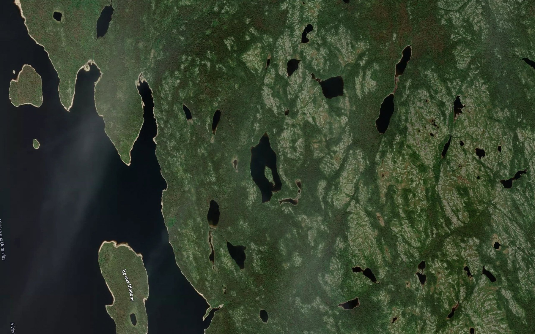Satellite map of the Lac de l'Ile a Francois