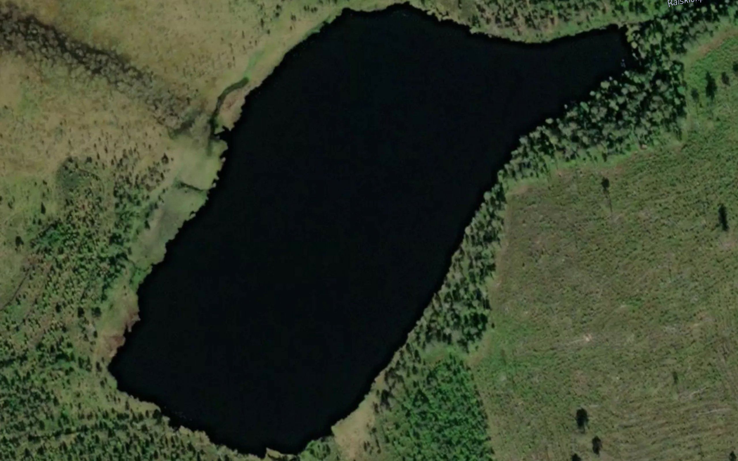 Raiskionlampi