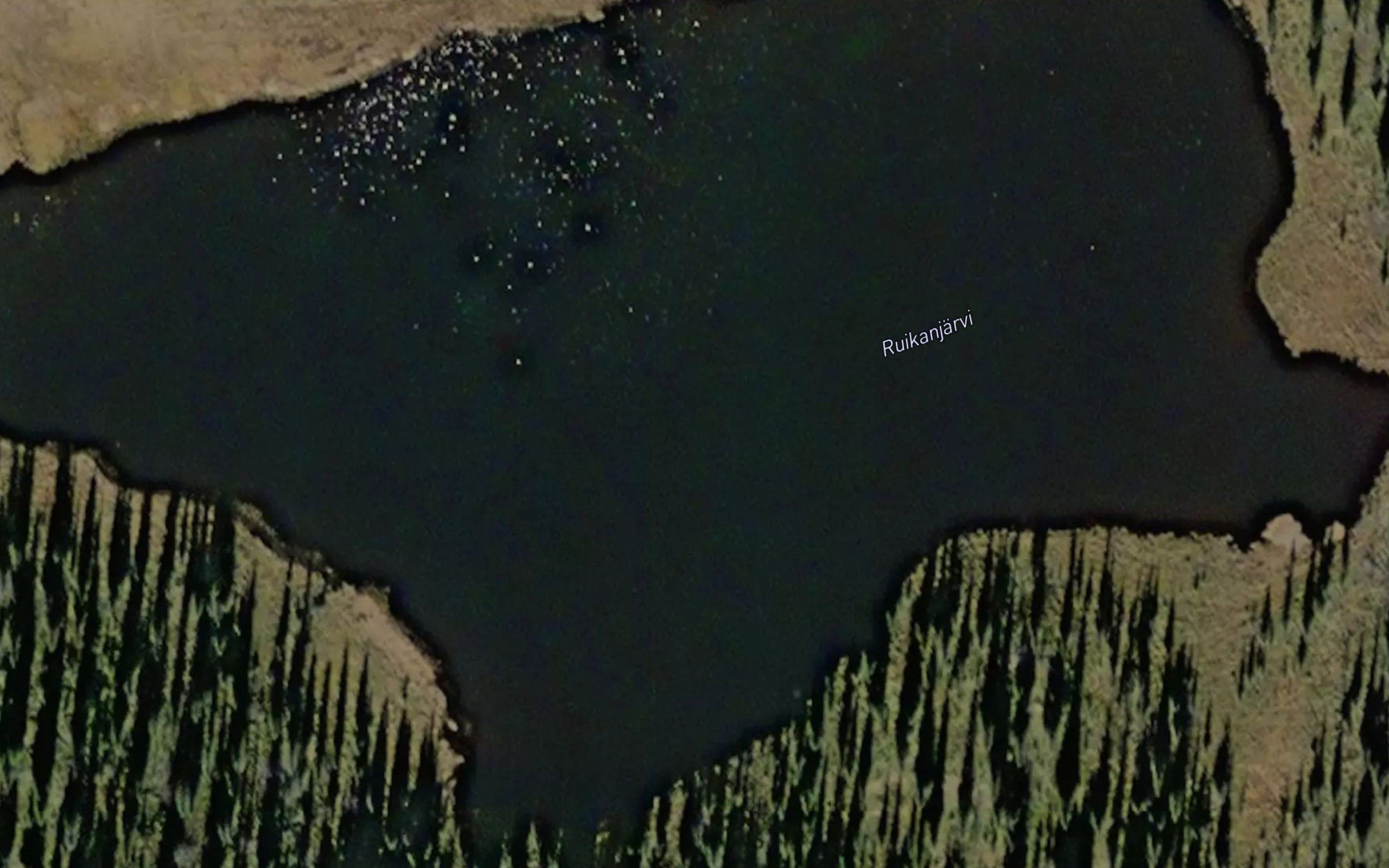 Ruikanjarvi