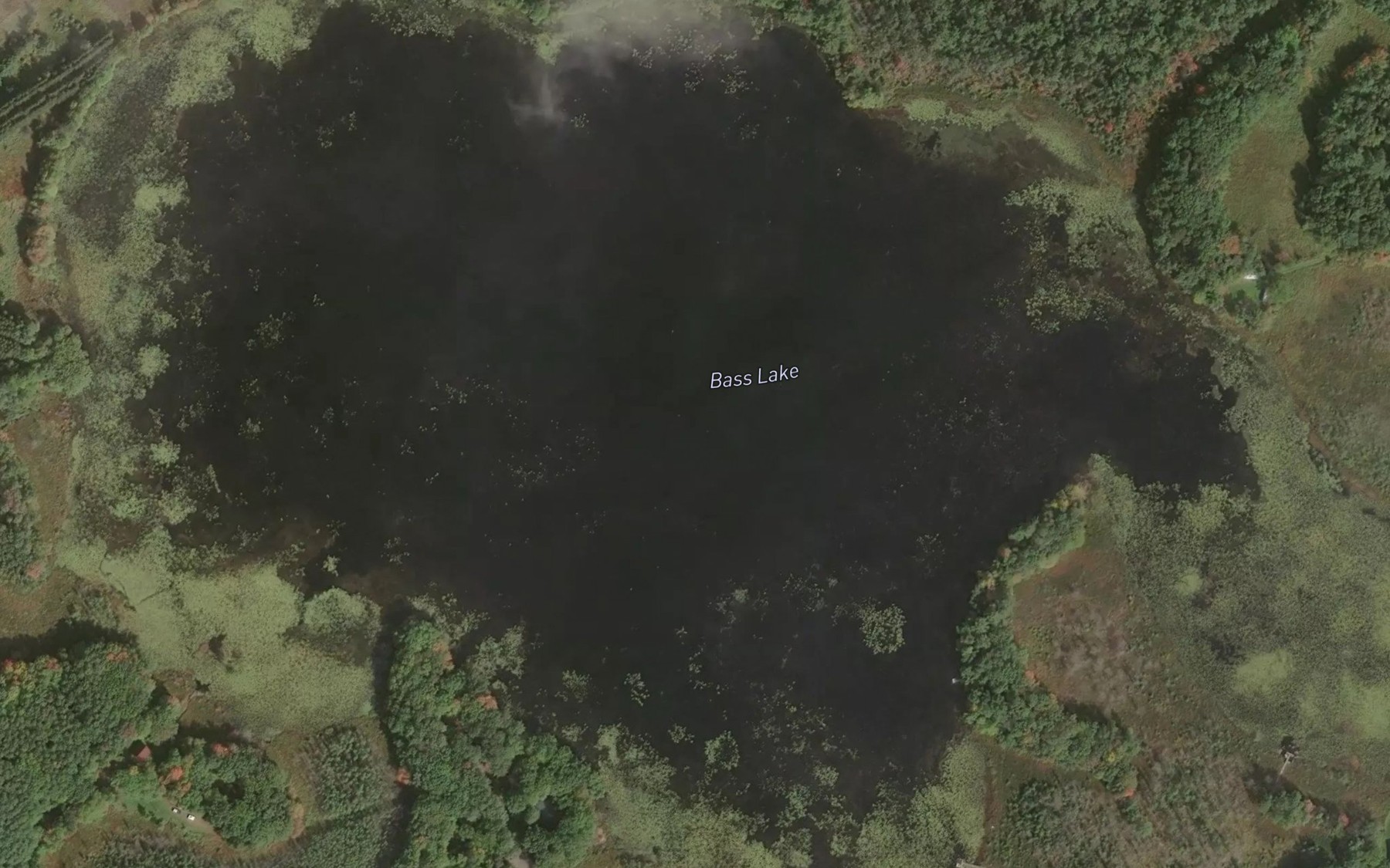 Satellite map of the Bass Lake