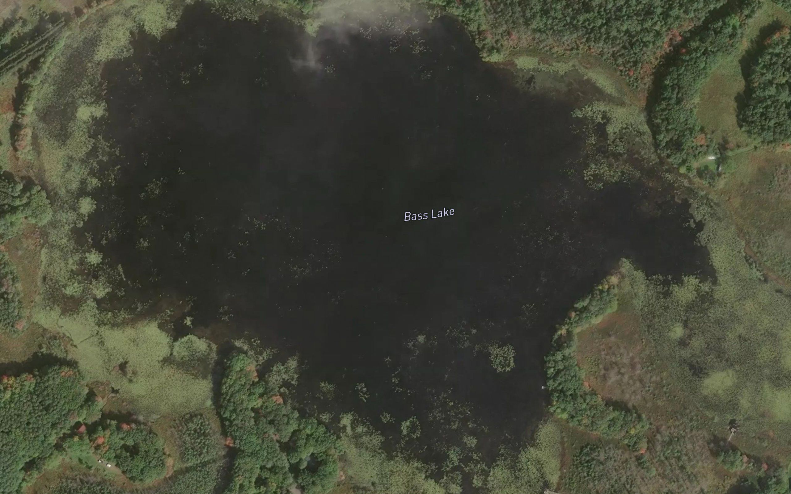 Bass Lake