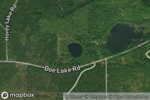 Shady Lake