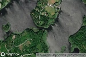 Lintusalmi