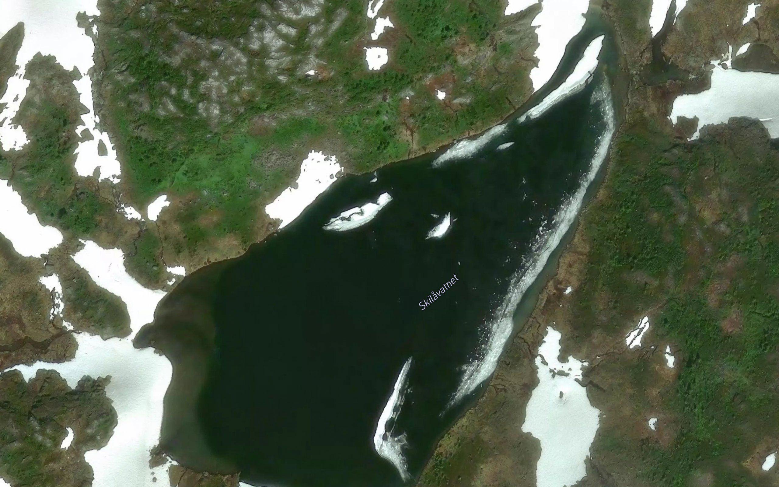 Skjellavatnan