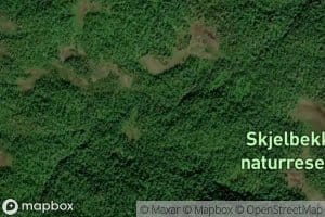 Skjelbekken