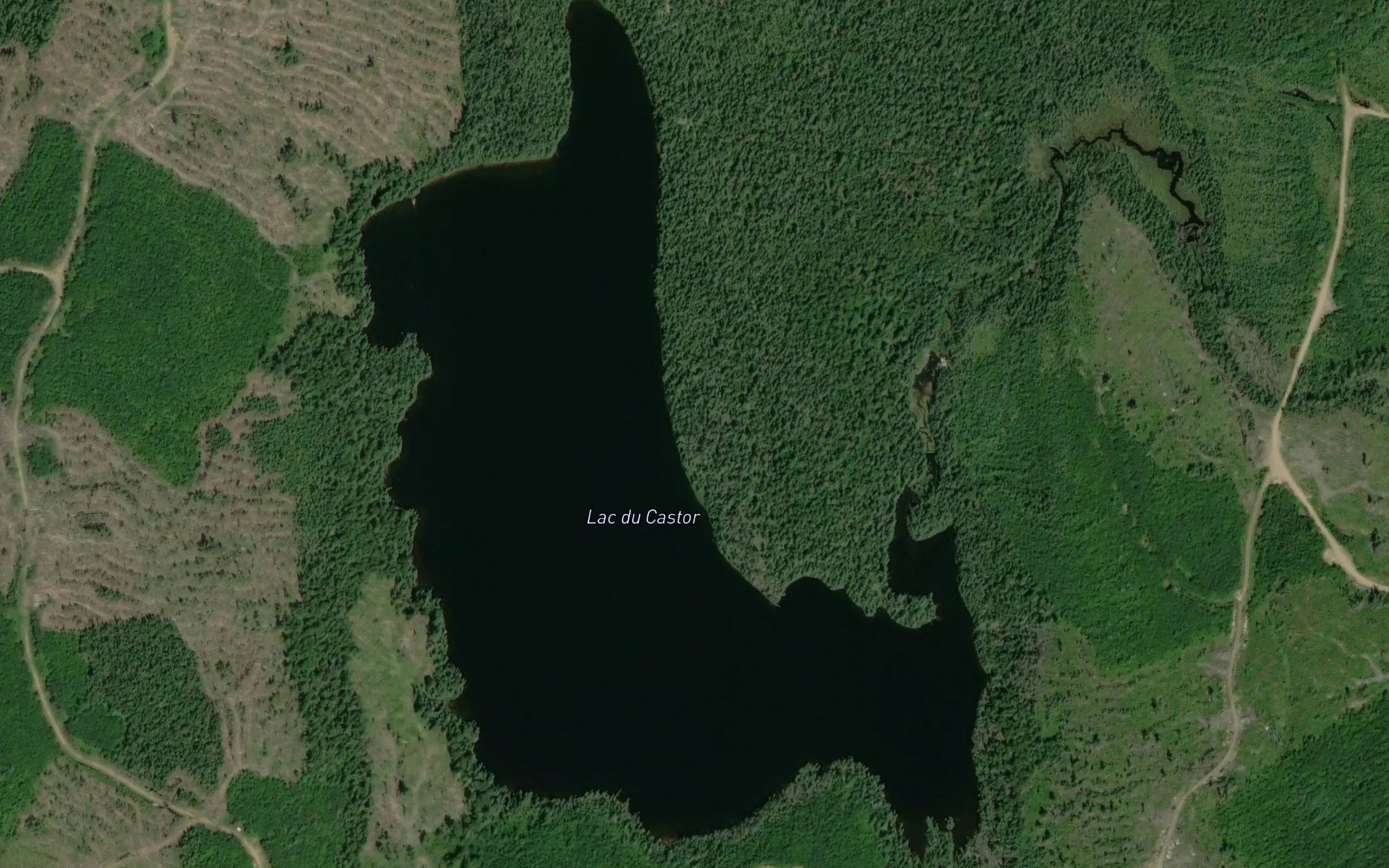 Satellite map of the Lac du Castor