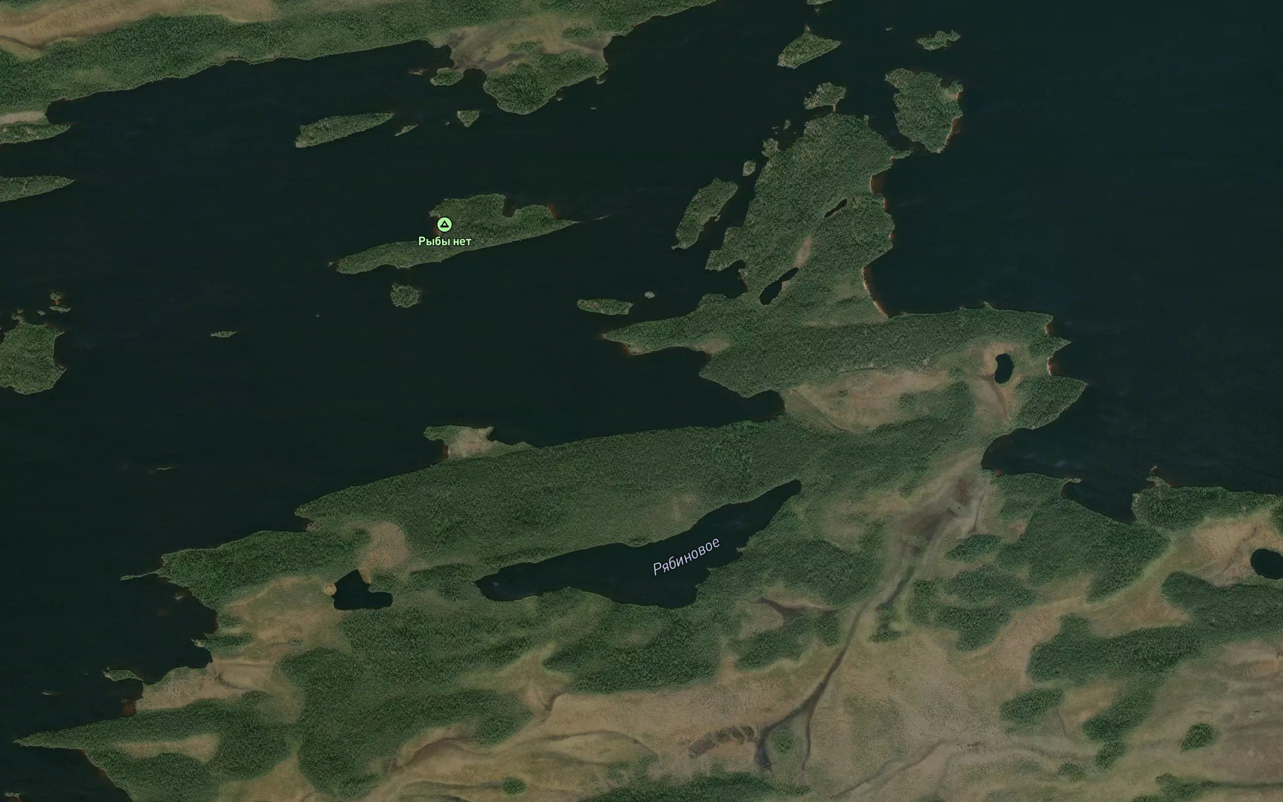 Guba Pervaya Gagar'ya