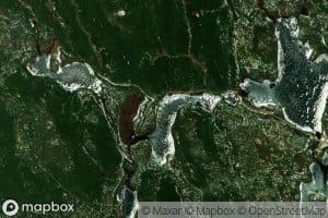 Lac Cameo