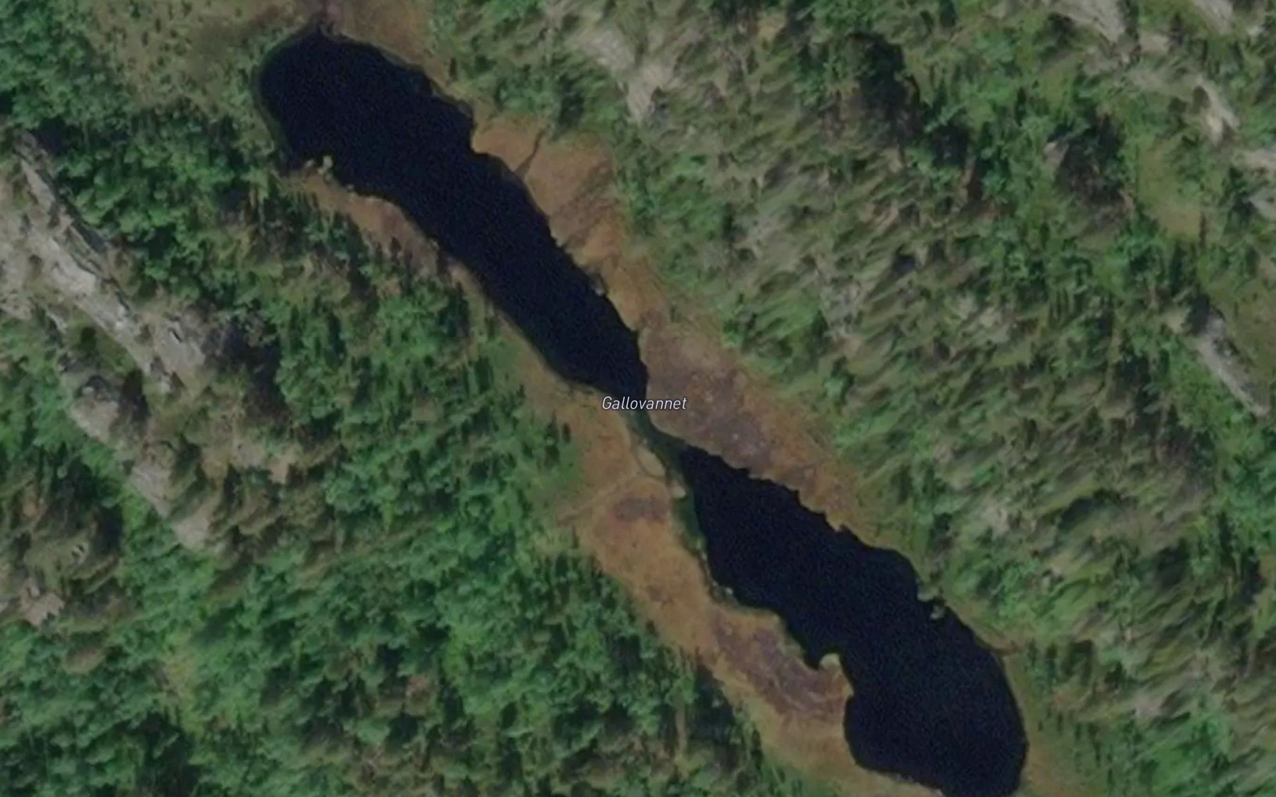 Gallovannet