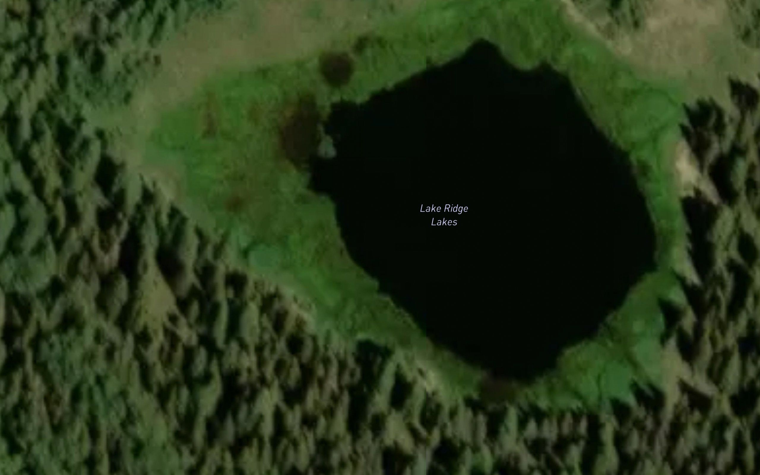 Lake Ridge Lakes