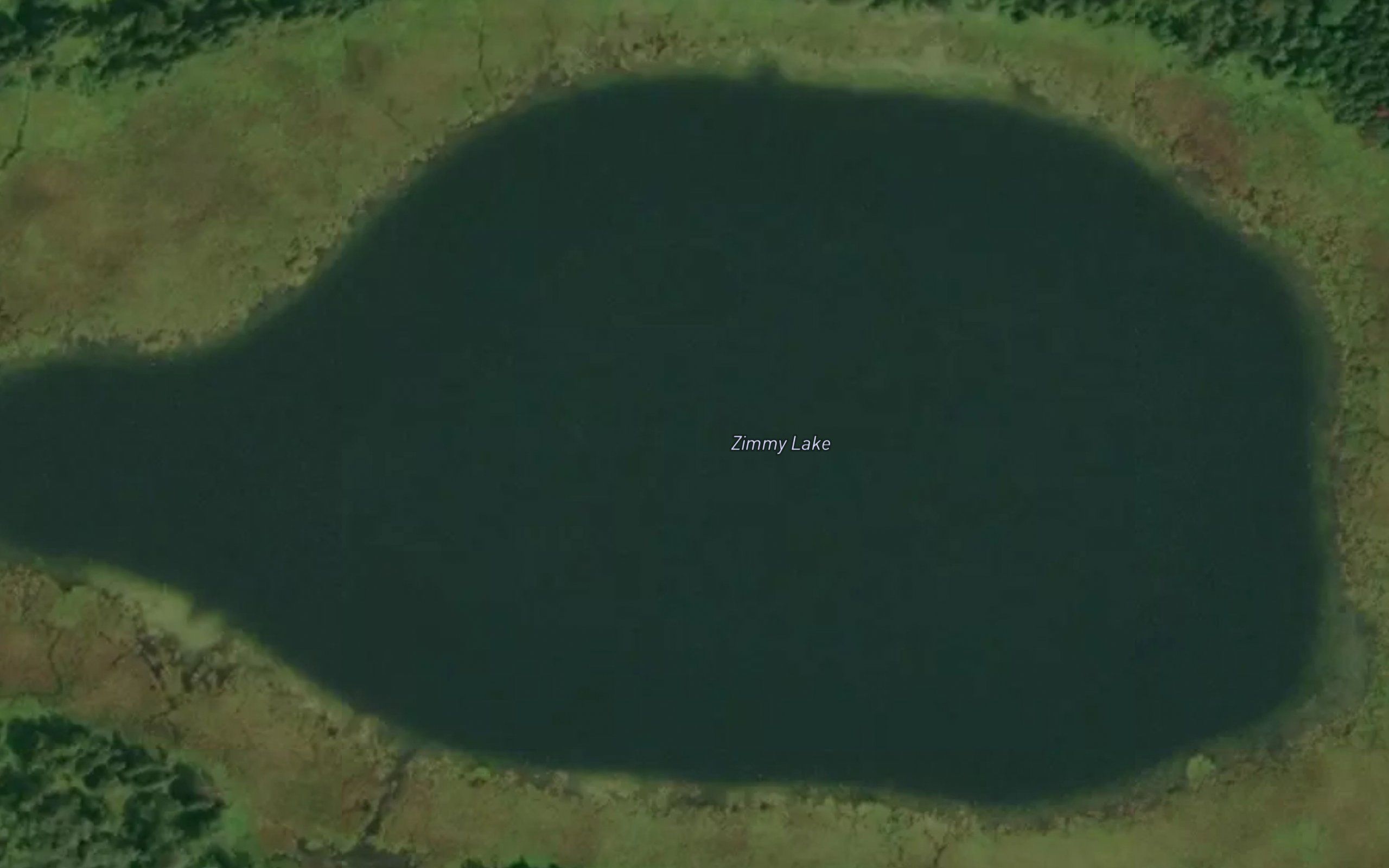 Zimmy Lake