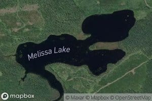 Melissa Lake