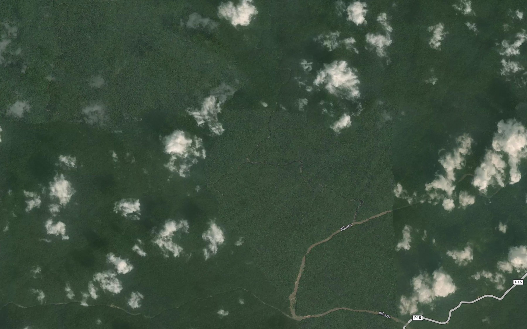 Satellite map of the Yobe