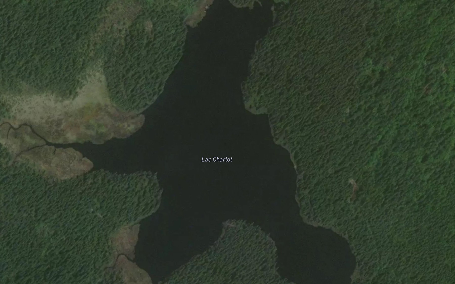 Satellite map of the Lac Charlot