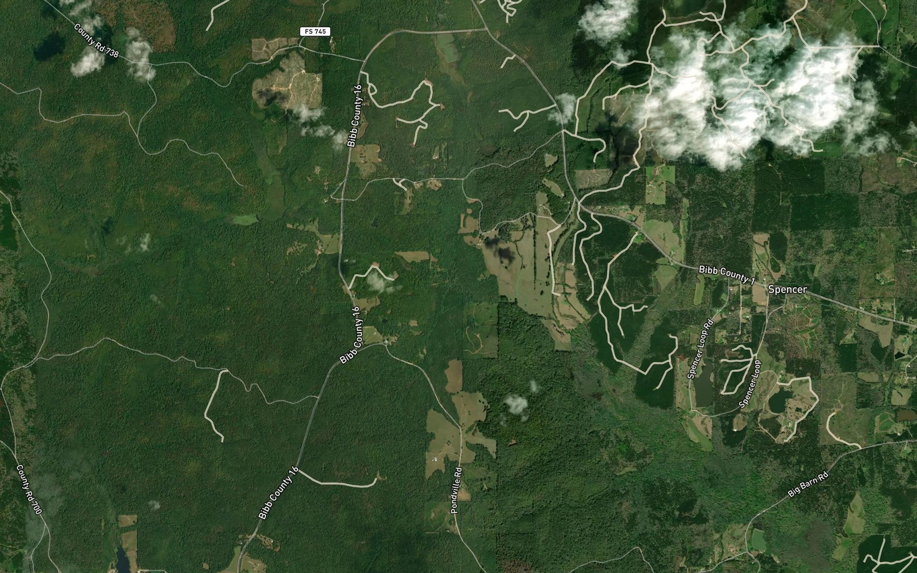 Satellite map of the Lick Branch