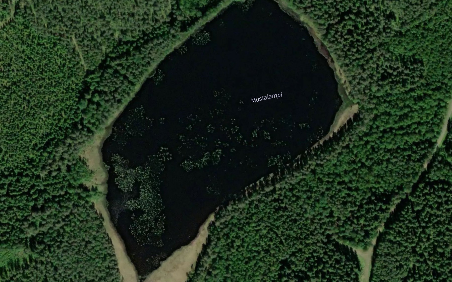 Satellite map of the Mustalampi