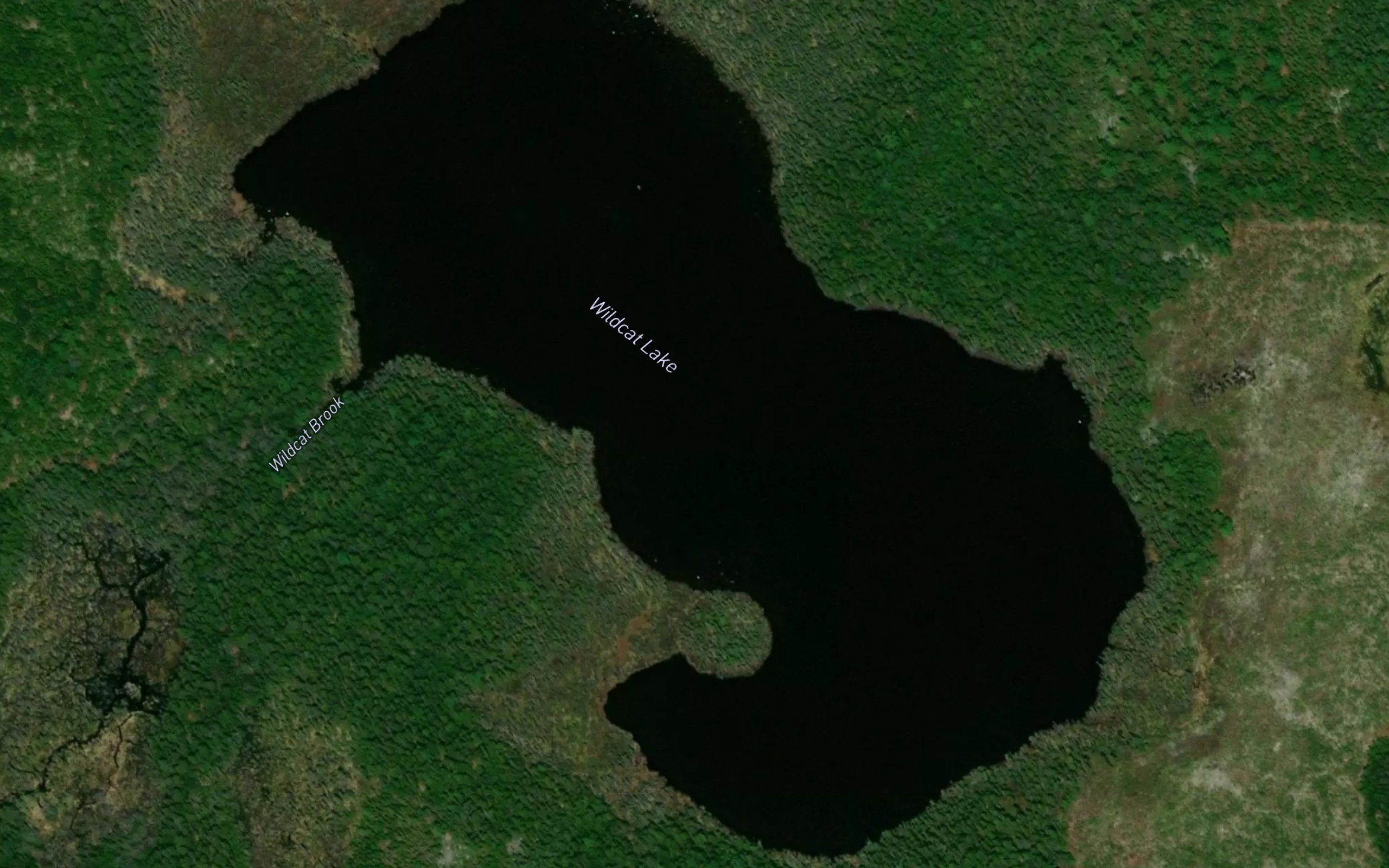 Wildcat Lake