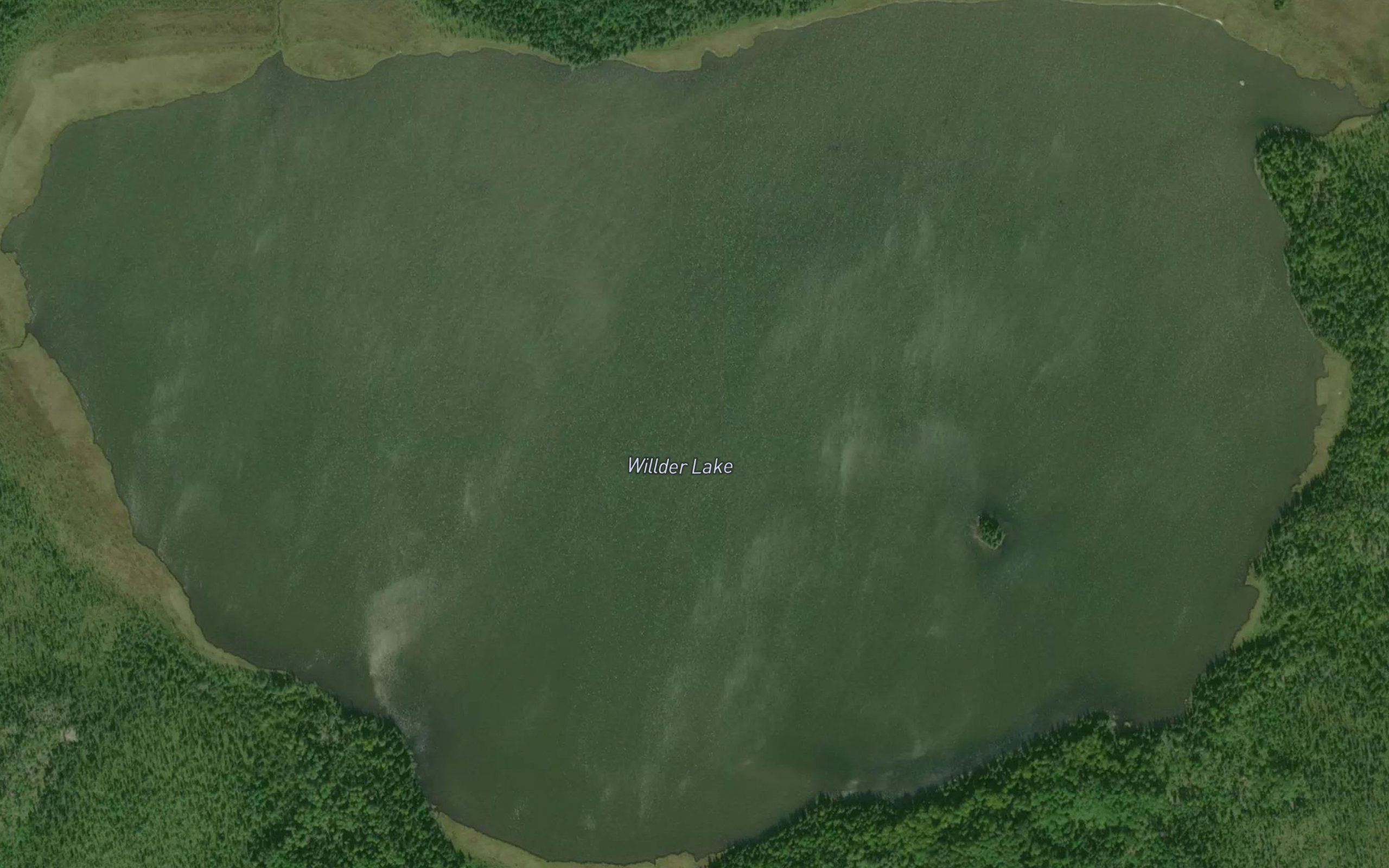 Willder Lake