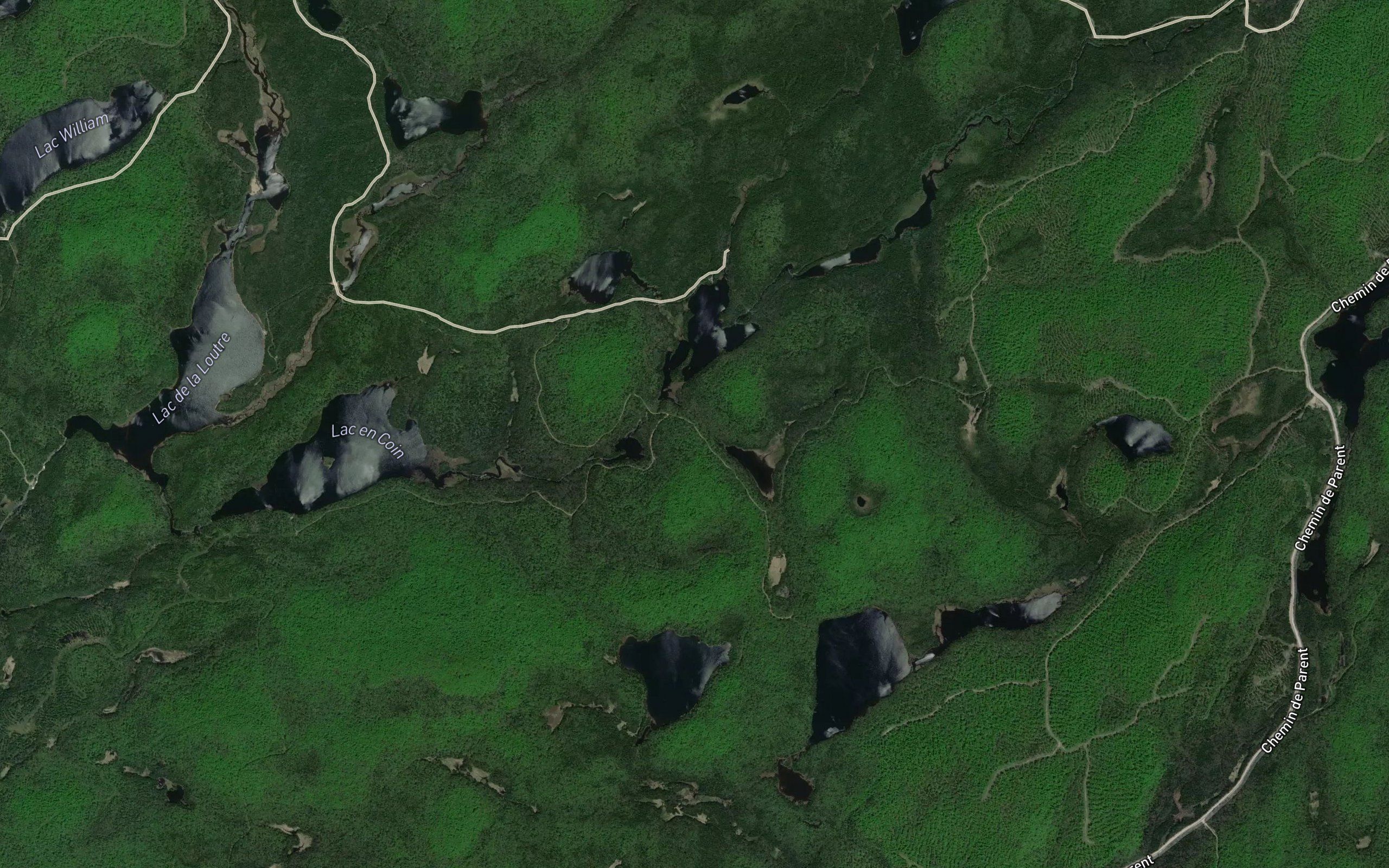 Lac Tasse