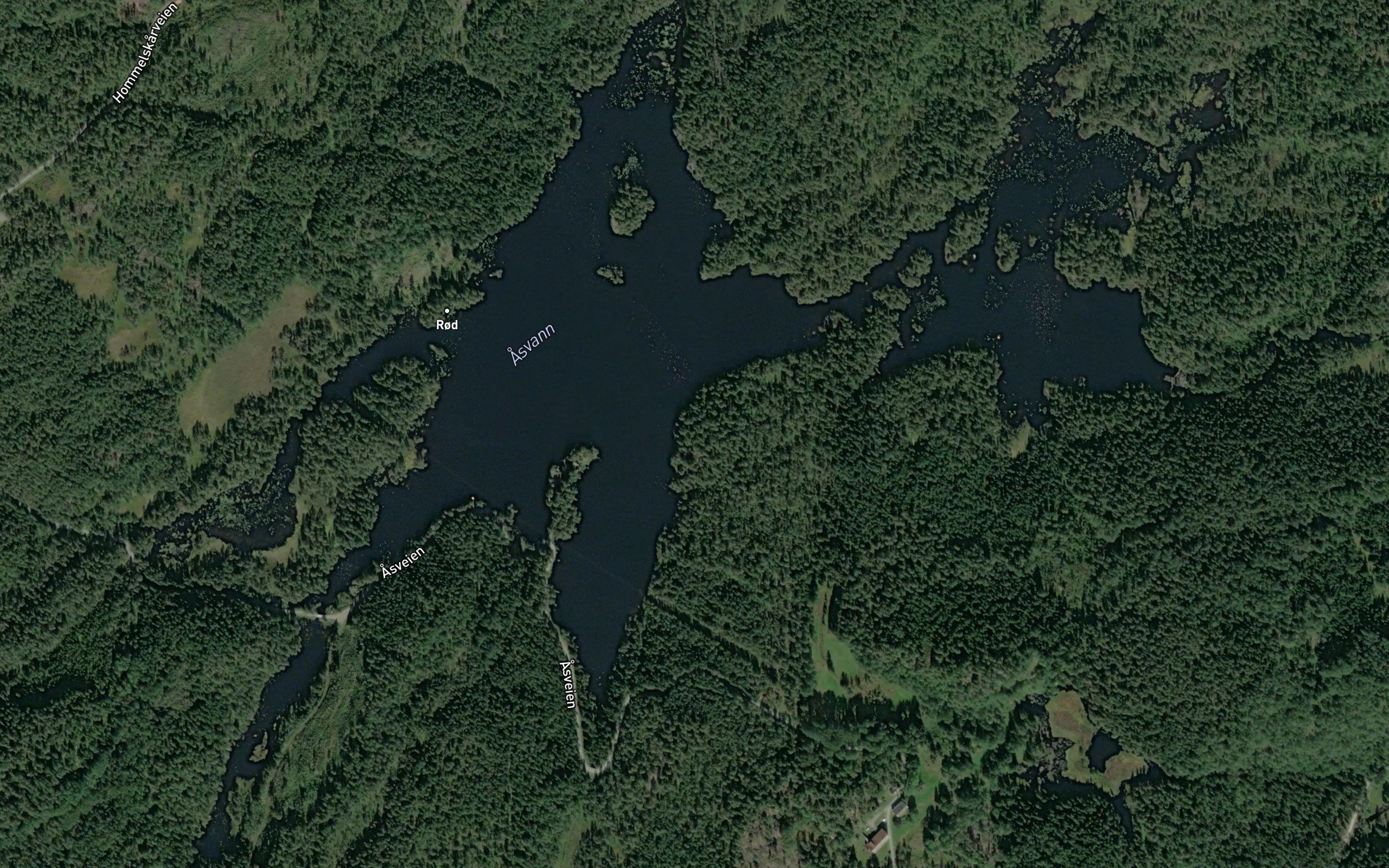 Kvennvann