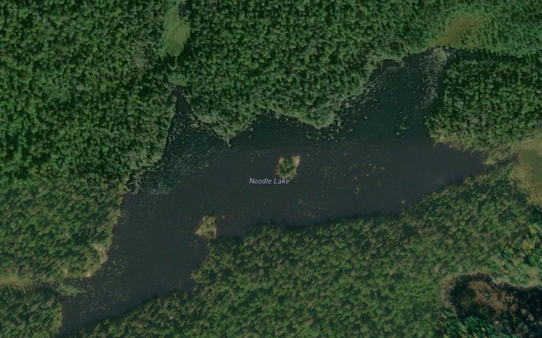 Satellite map of the Noodle Lake