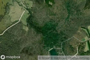 Laurel Creek