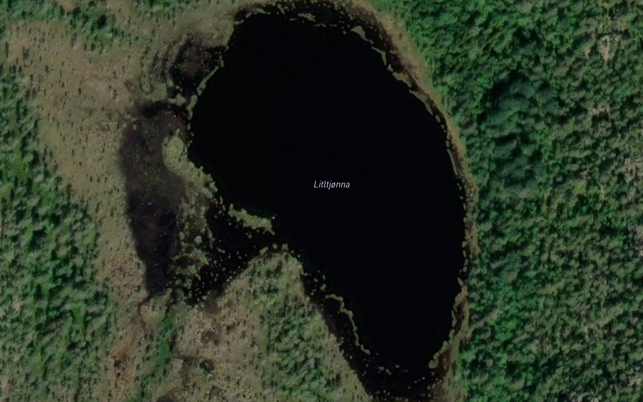 Litltjonna