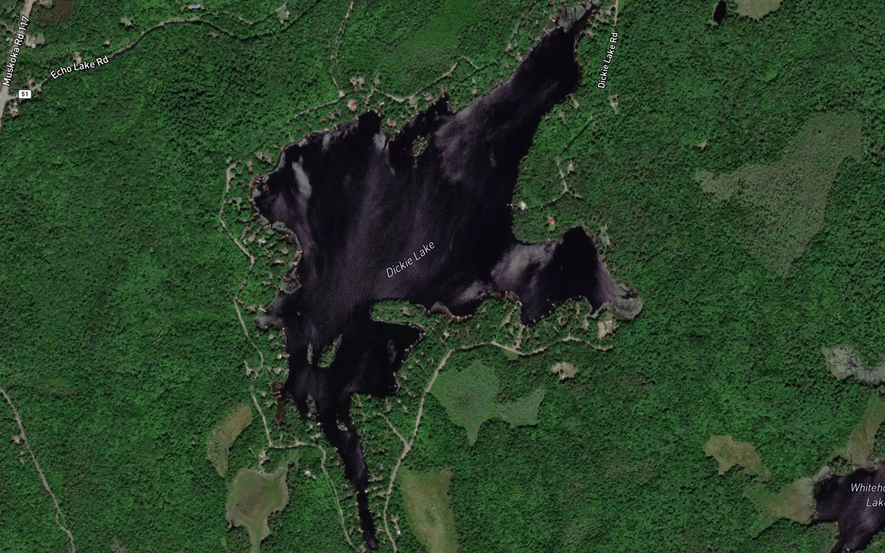 Satellite map of the Dickie Lake