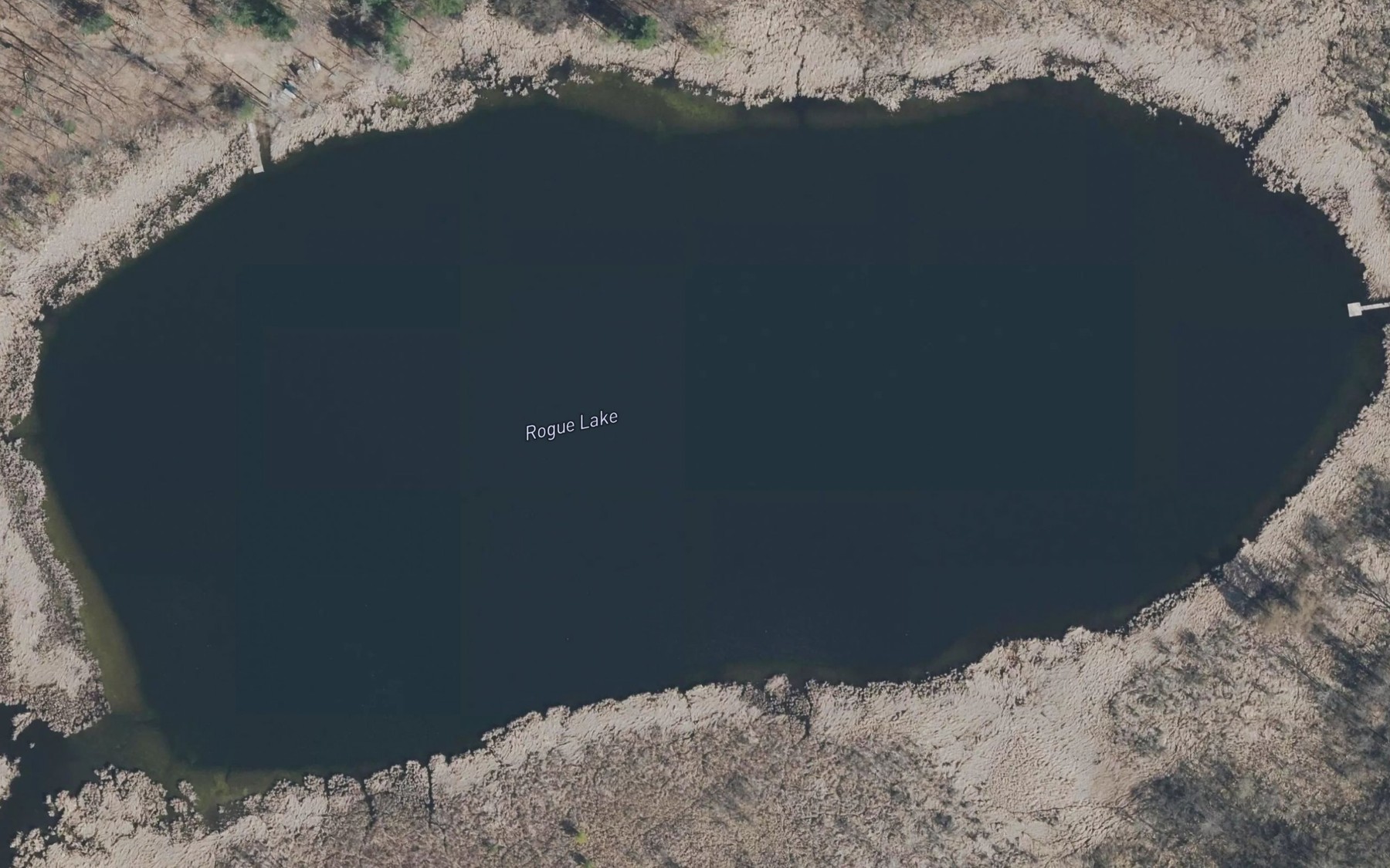 Satellite map of the Rogue Lake