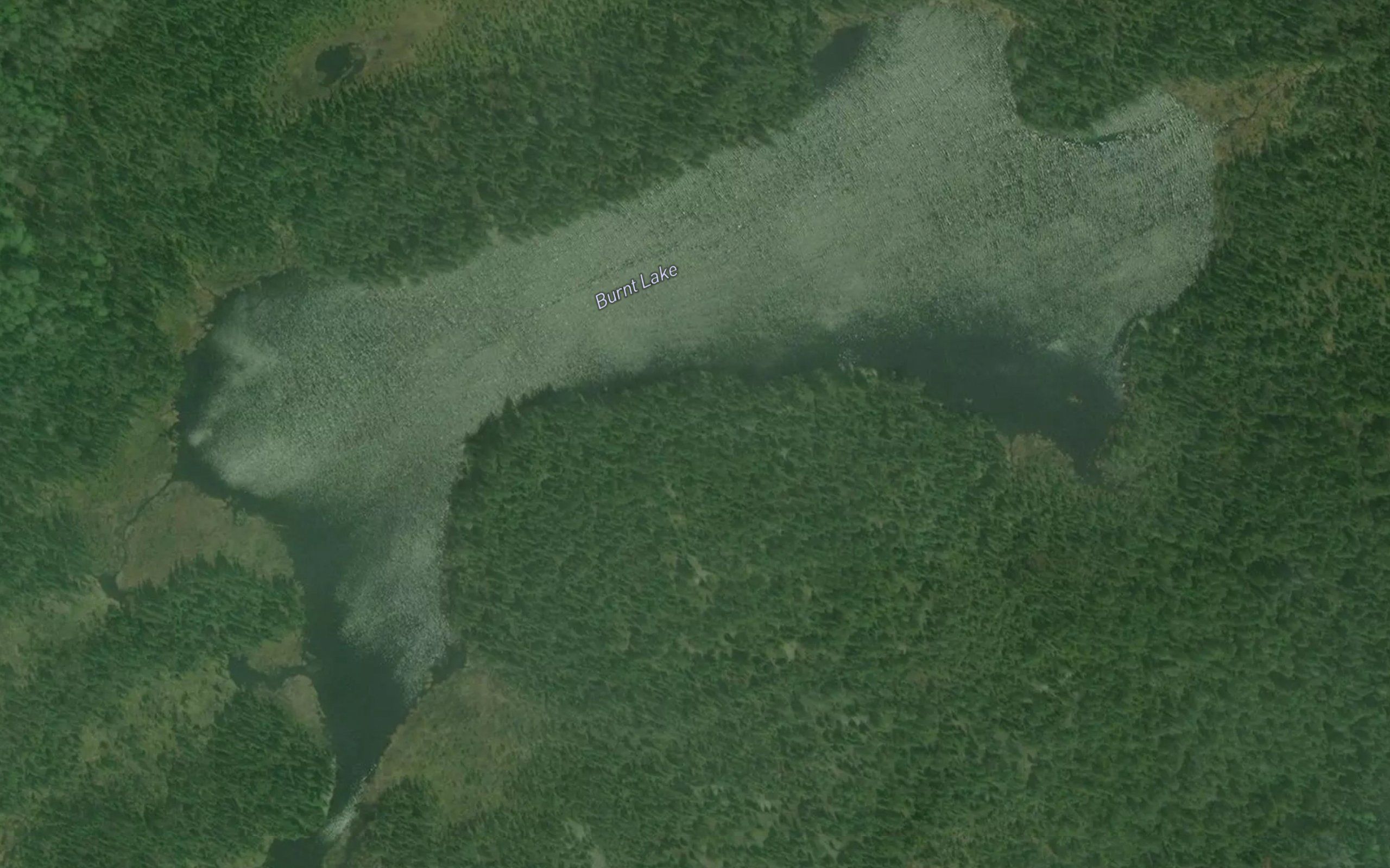 Burnt Lake