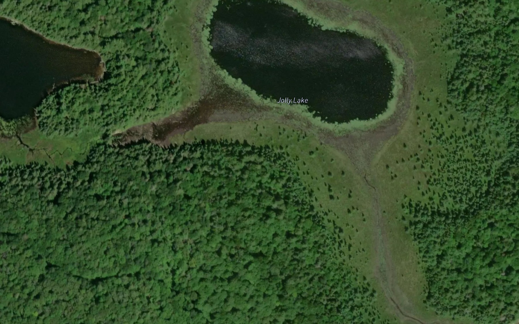 Satellite map of the Jolly Lake
