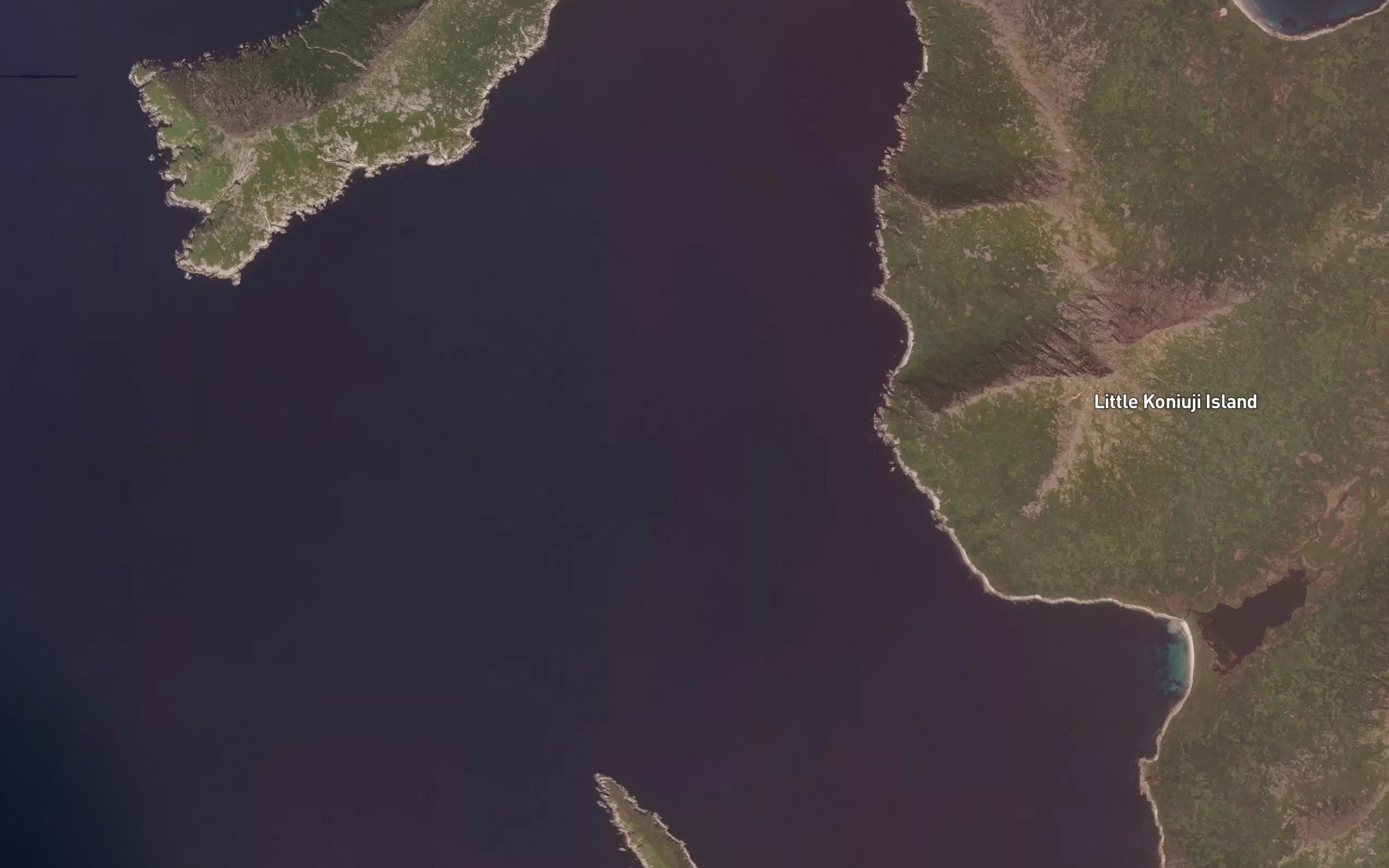 Satellite map of the Northeast Harbor