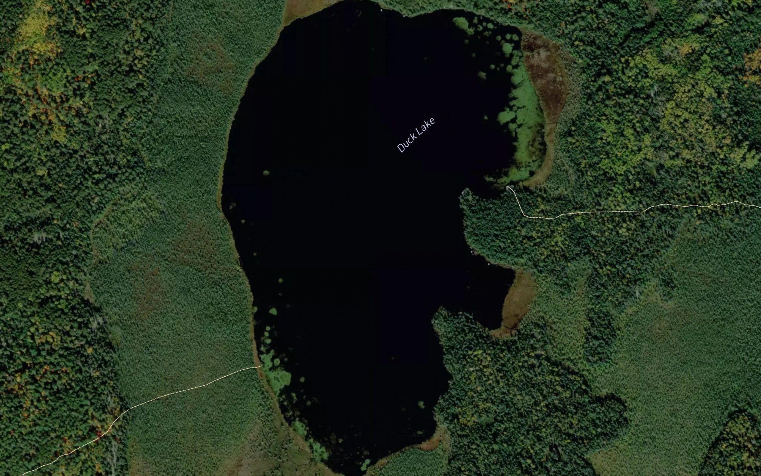 Duck Lake