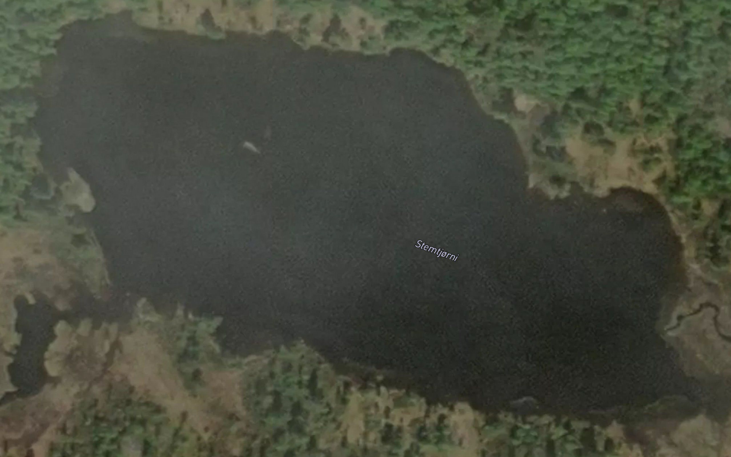 Stemtjonn