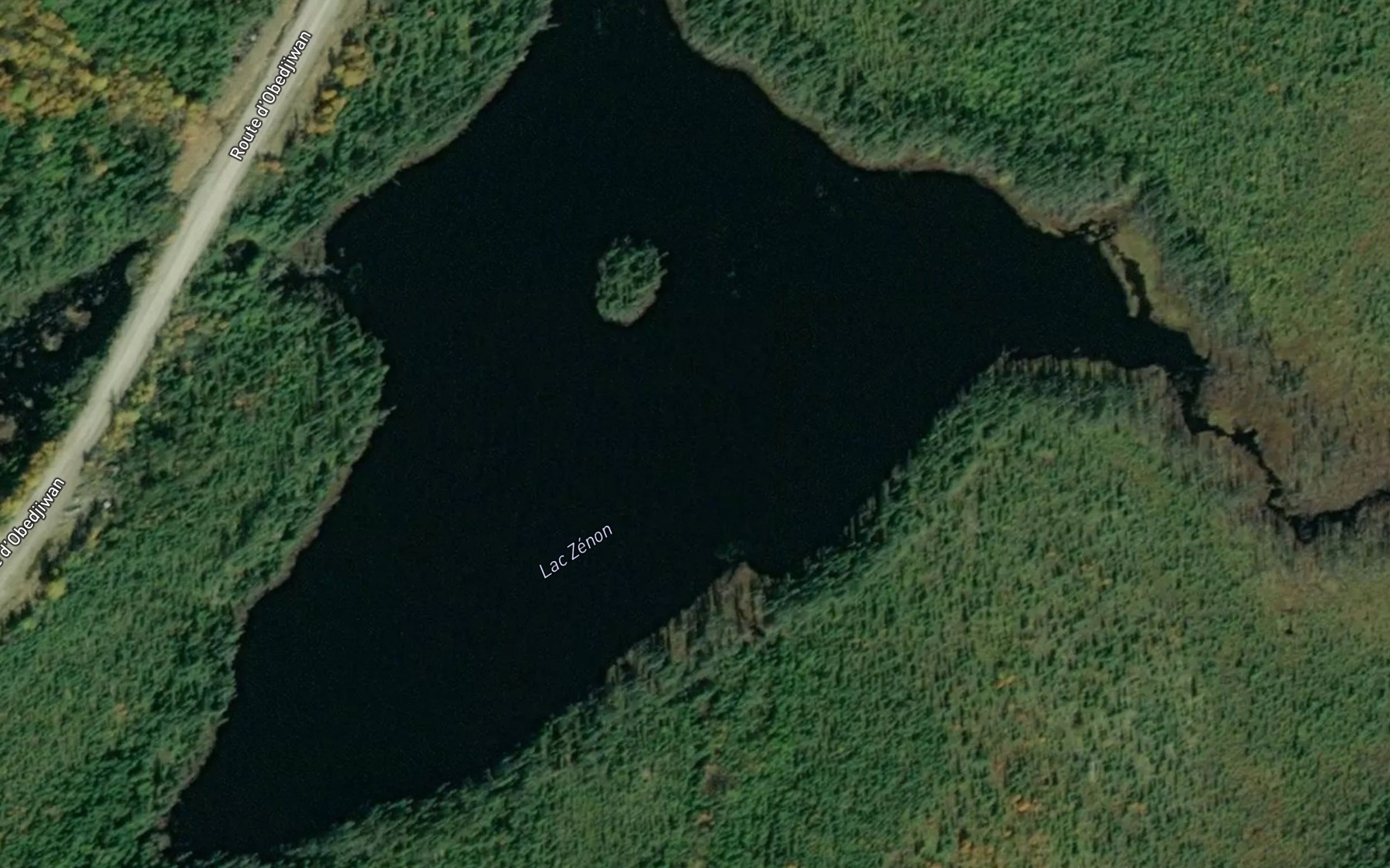 Satellite map of the Lac Zenon